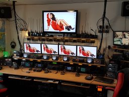 Diverse radiorum , ant fra TM 02